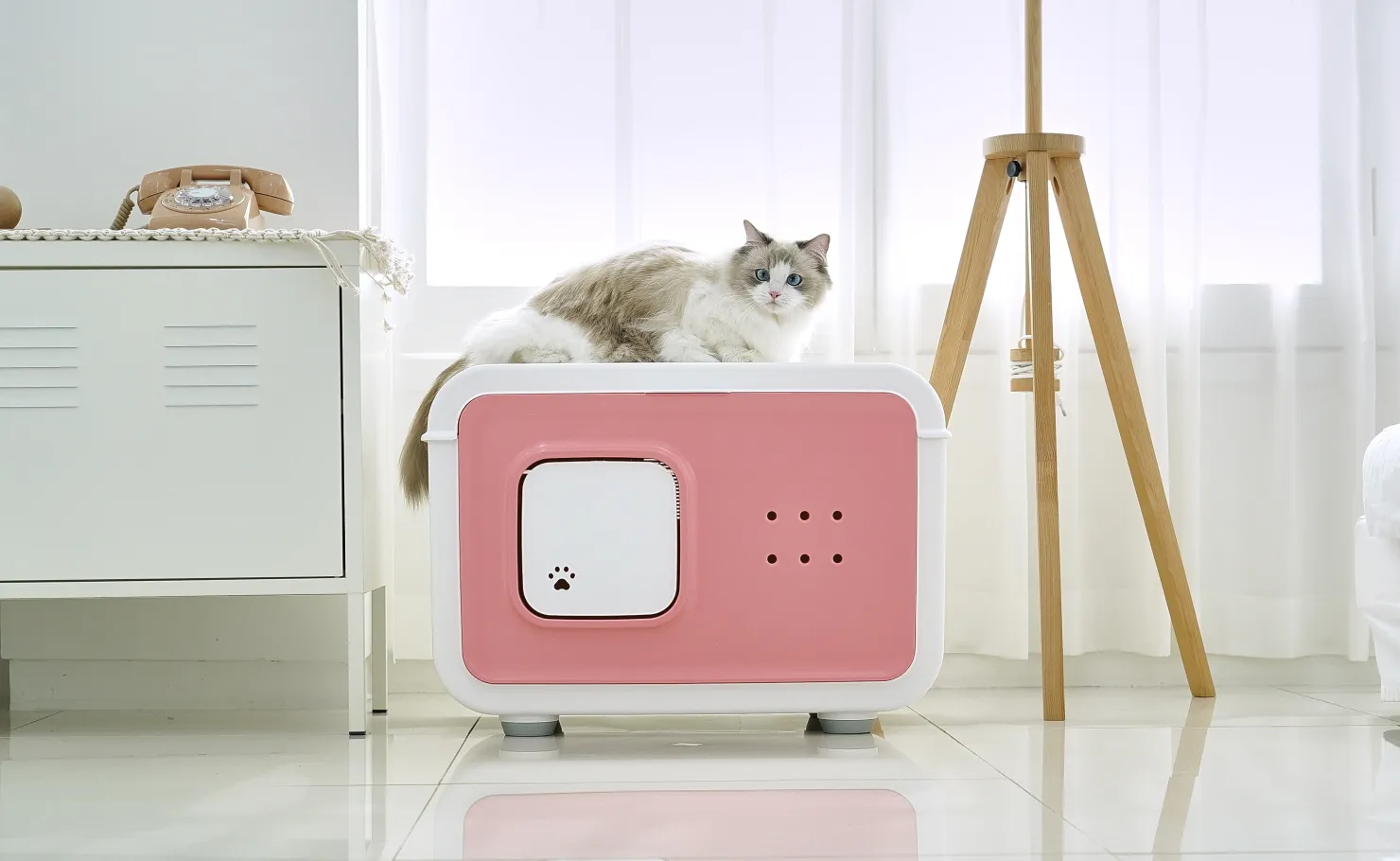 이미지 8