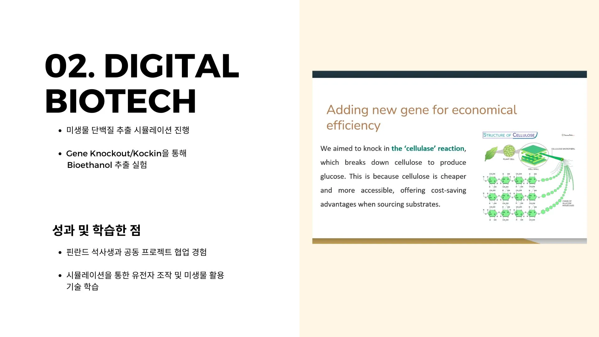 이미지 8