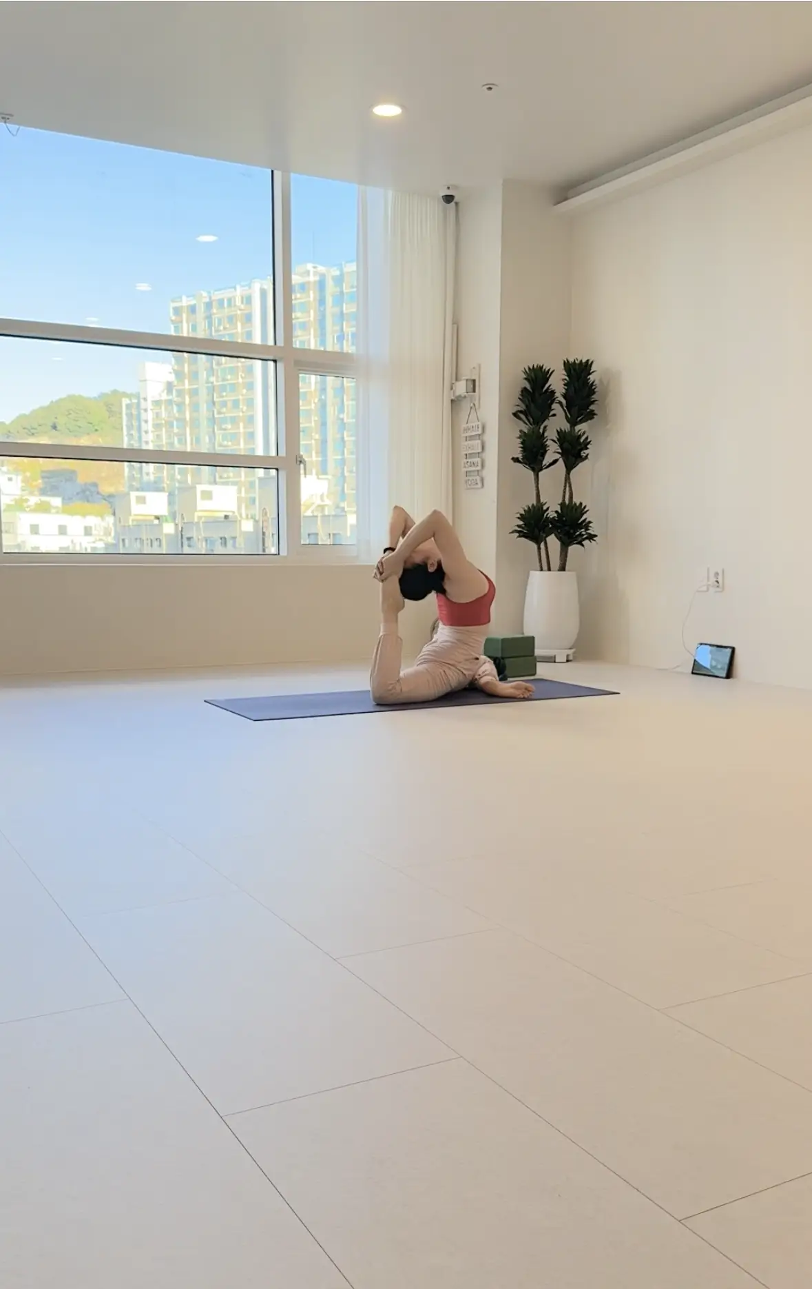 이미지 4