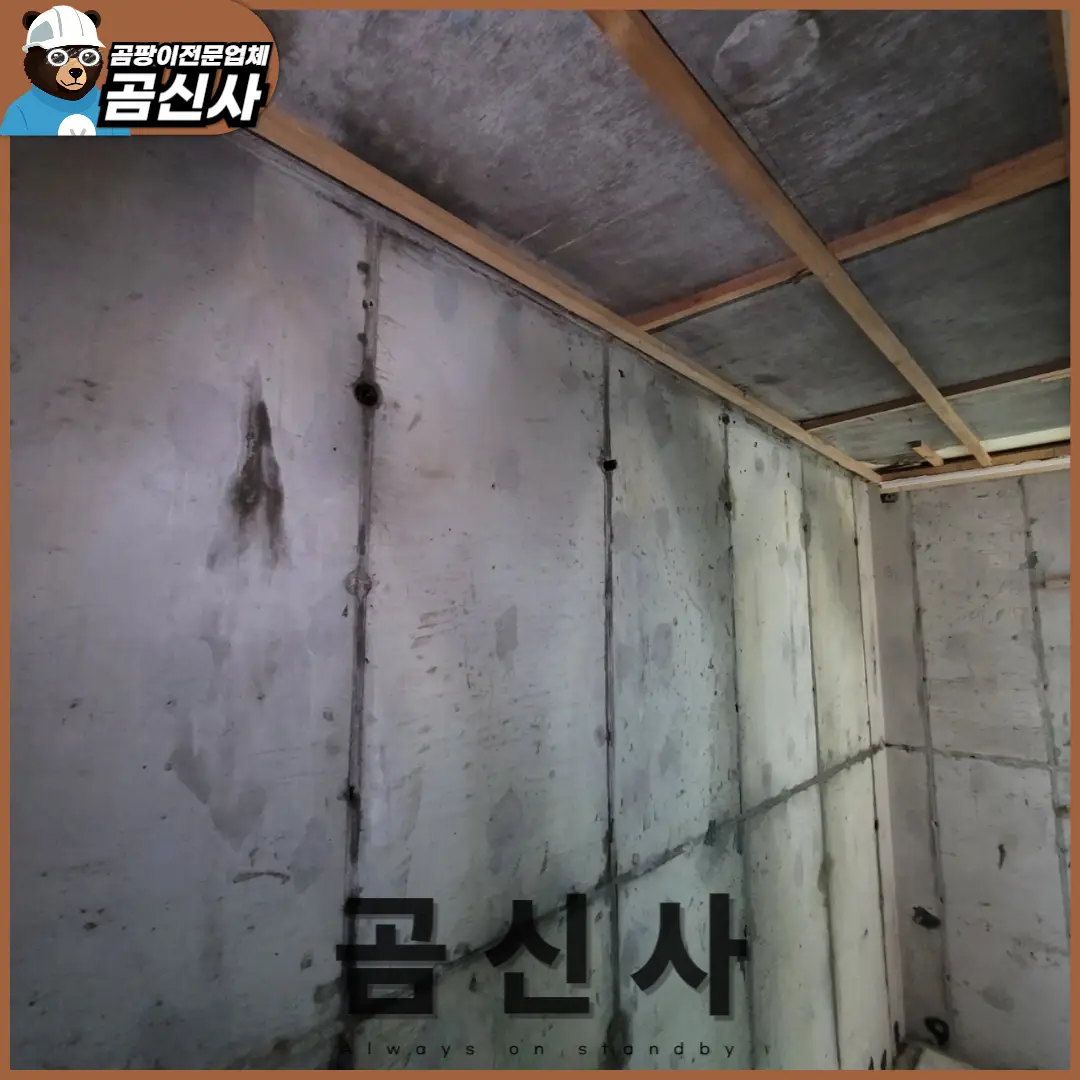이미지 6