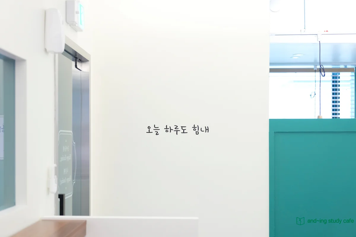 이미지 8