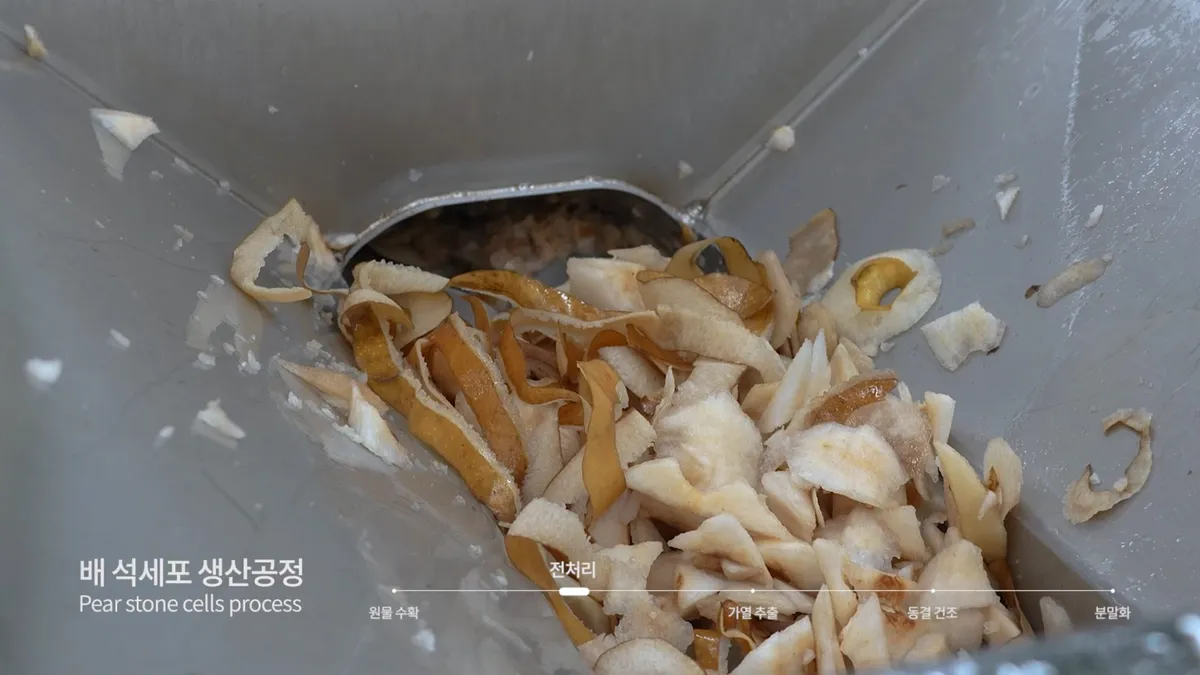 이미지 8
