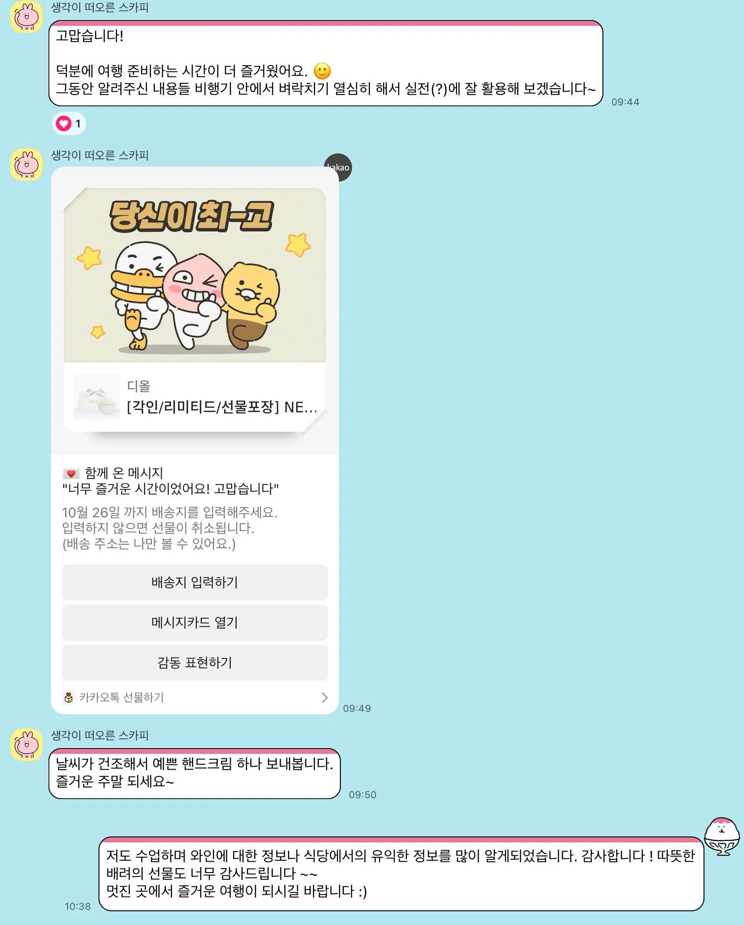 이미지 11