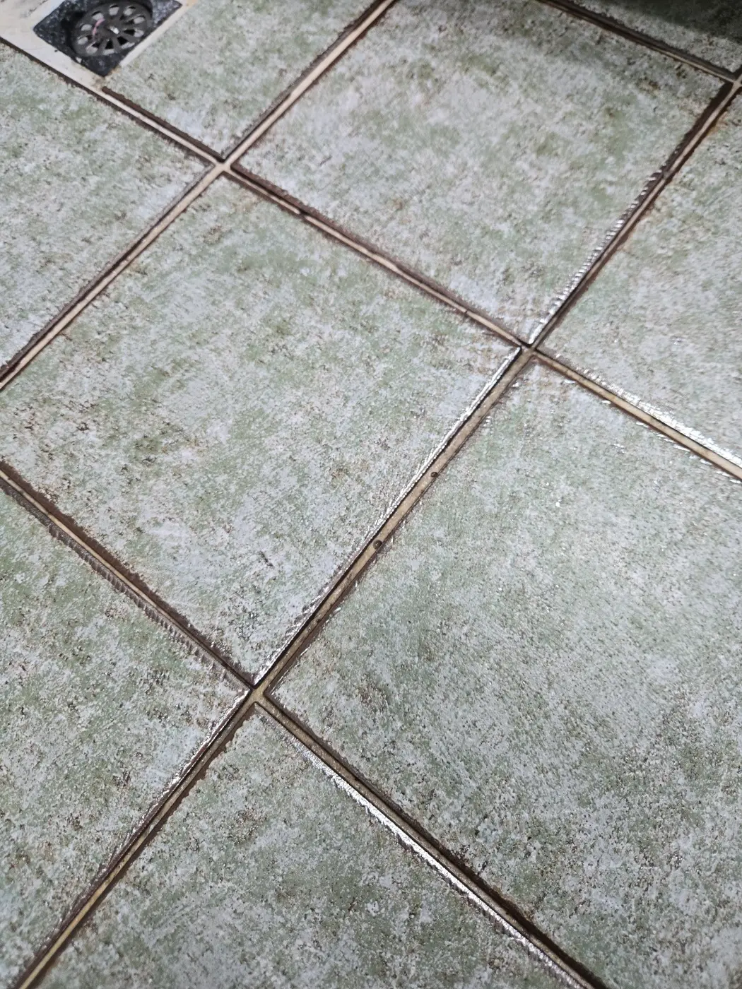이미지 14