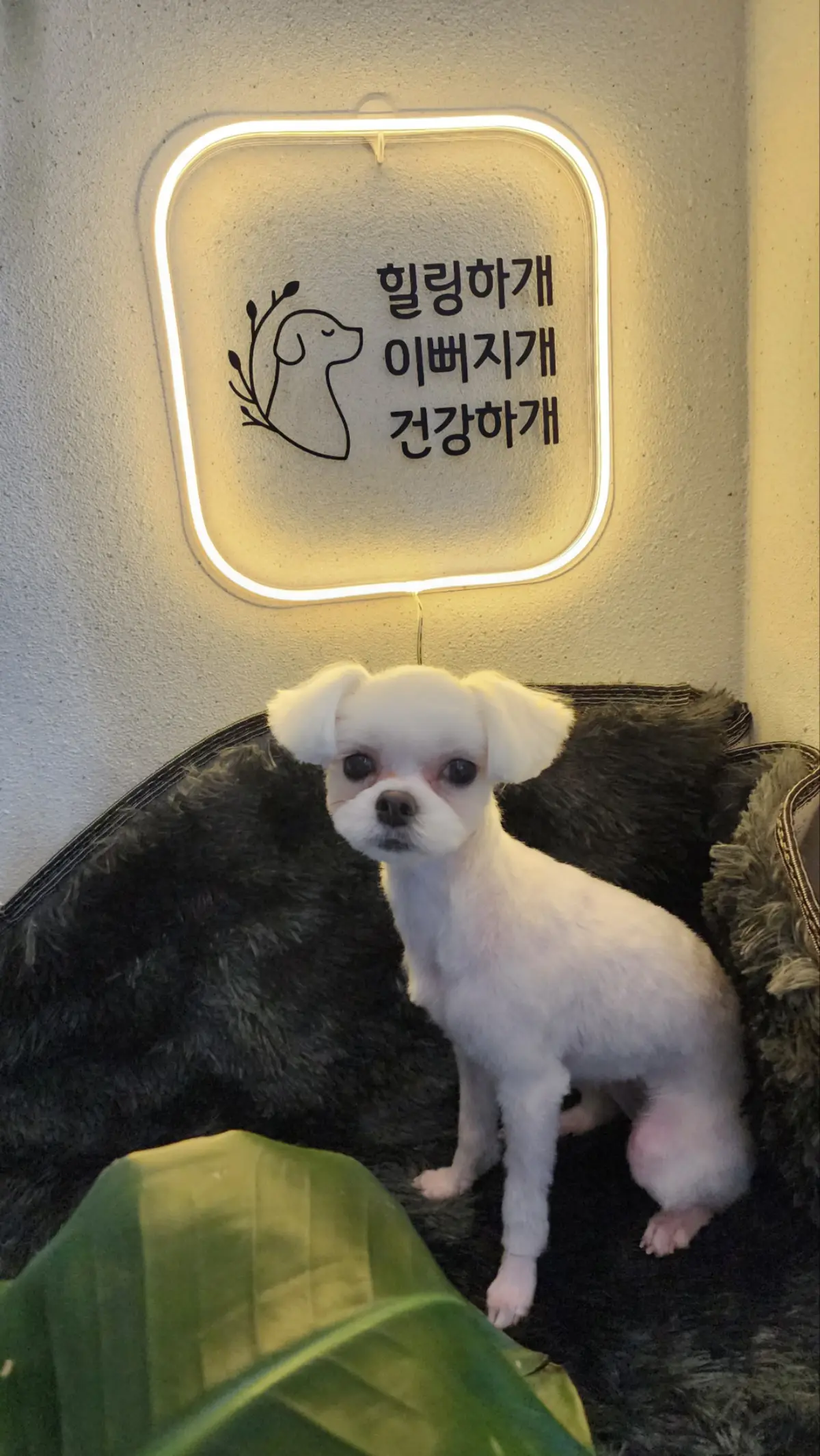 이미지 3