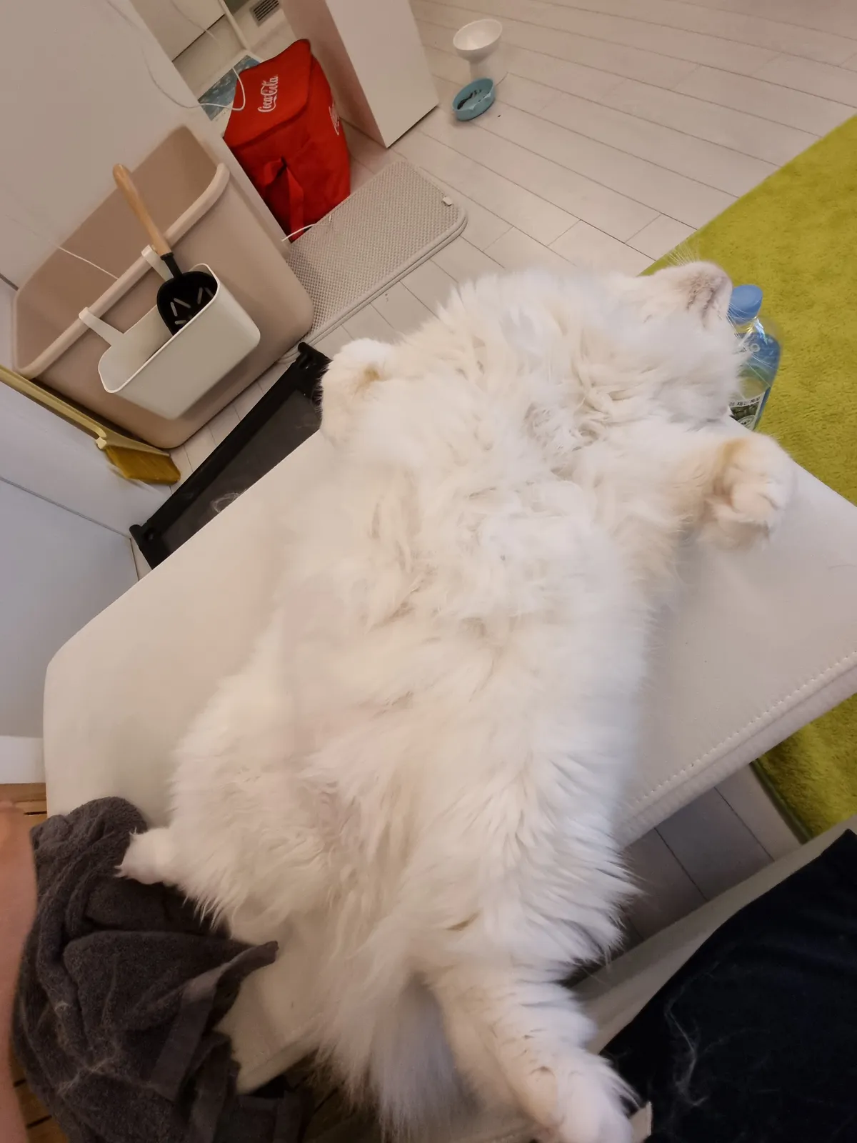 이미지 7