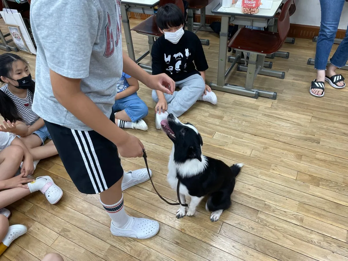 이미지 11