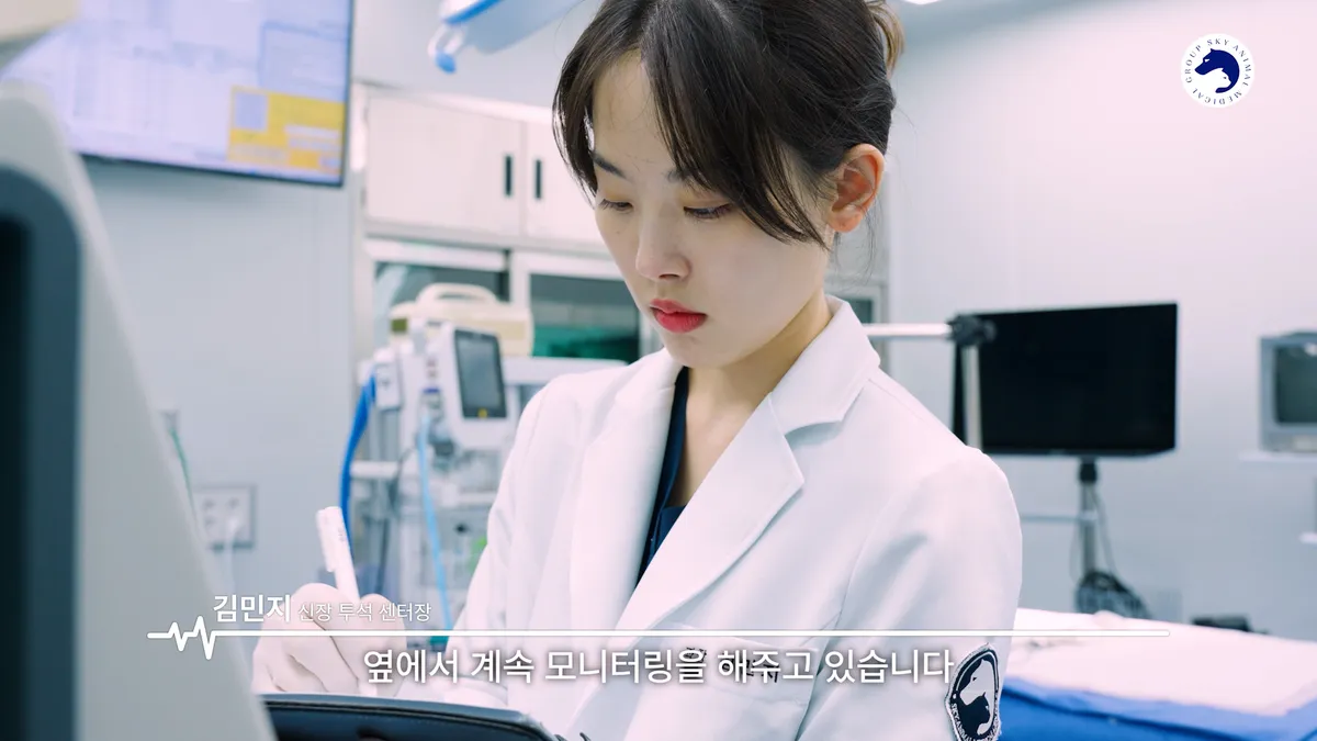 이미지 5