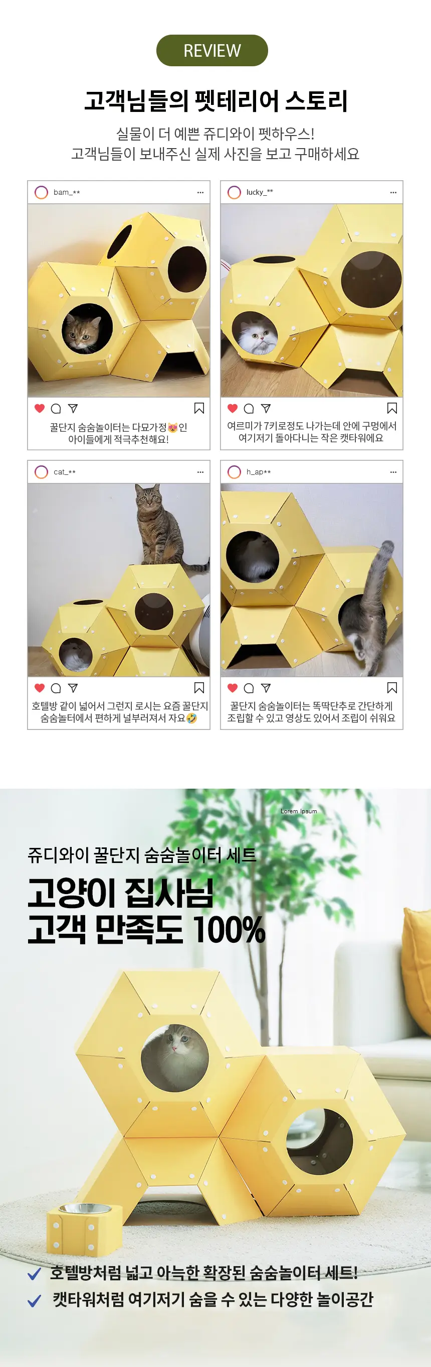 이미지 4