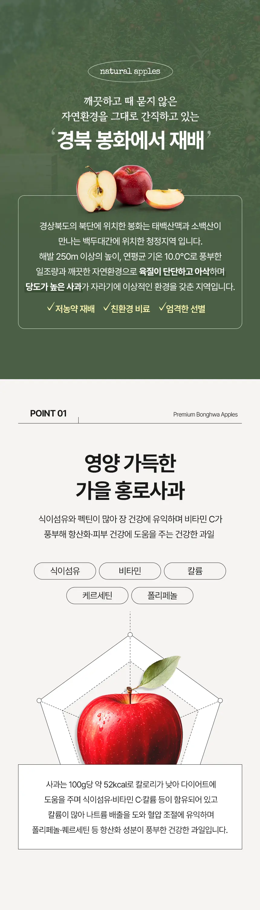 이미지 8