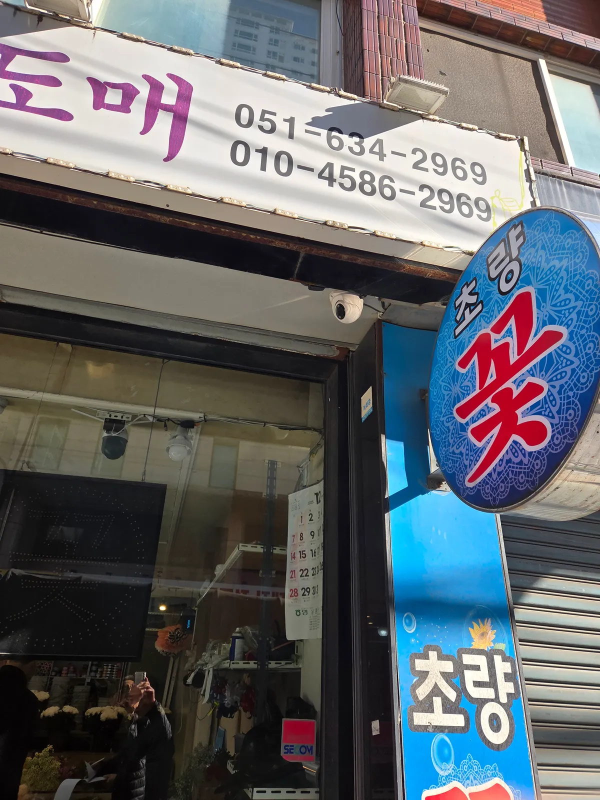 이미지 8