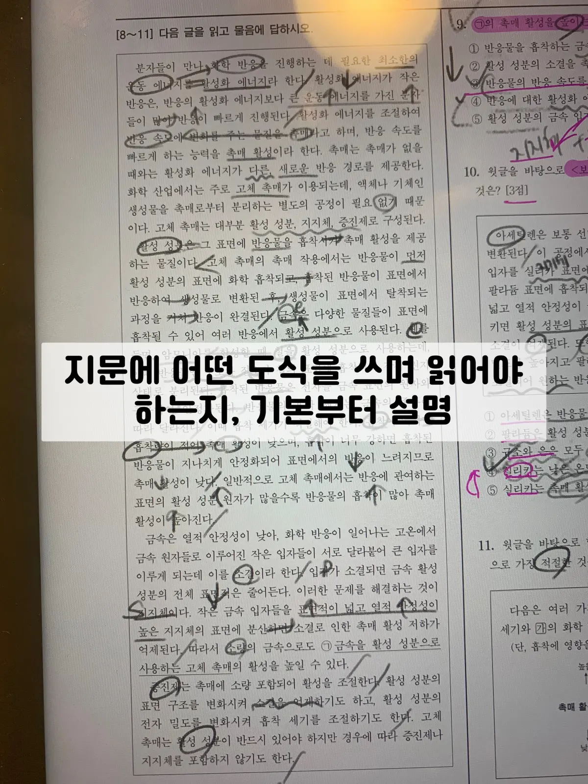 이미지 3