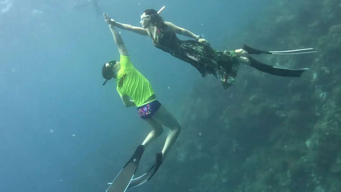 포트폴리오 이미지