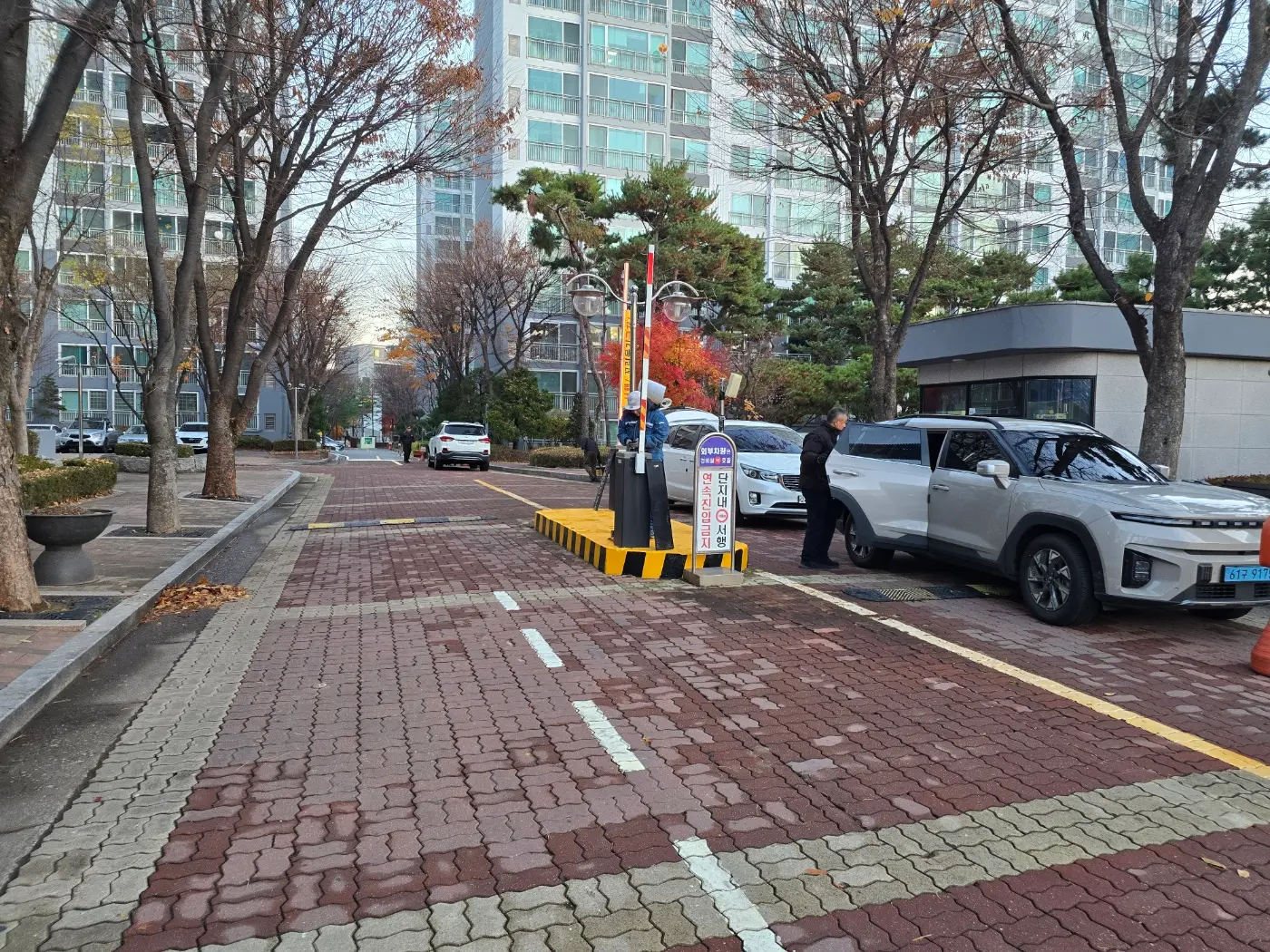 이미지 12