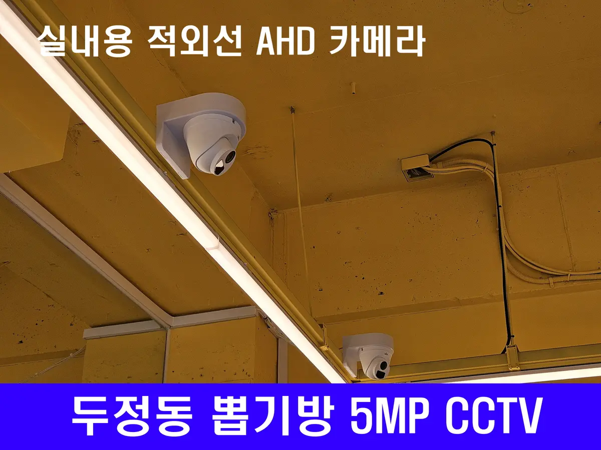 이미지 5