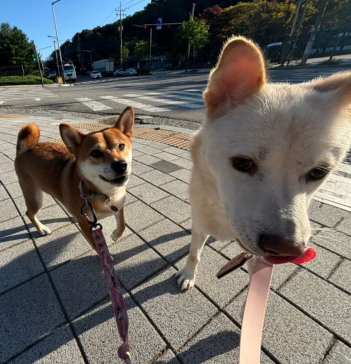 이미지 5