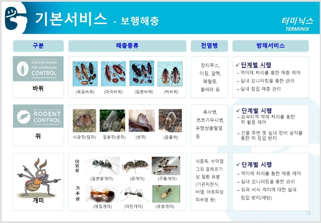 이미지 5