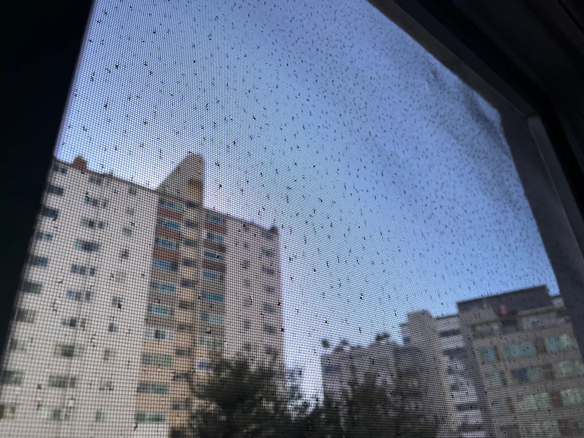 이미지 22