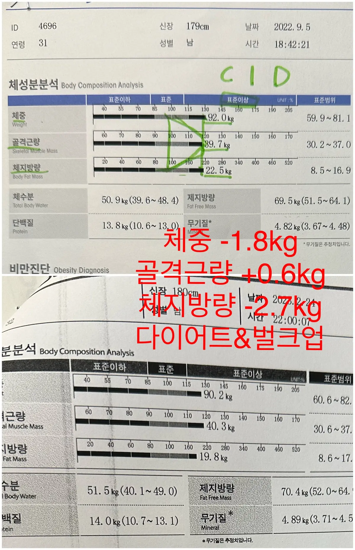 이미지 4