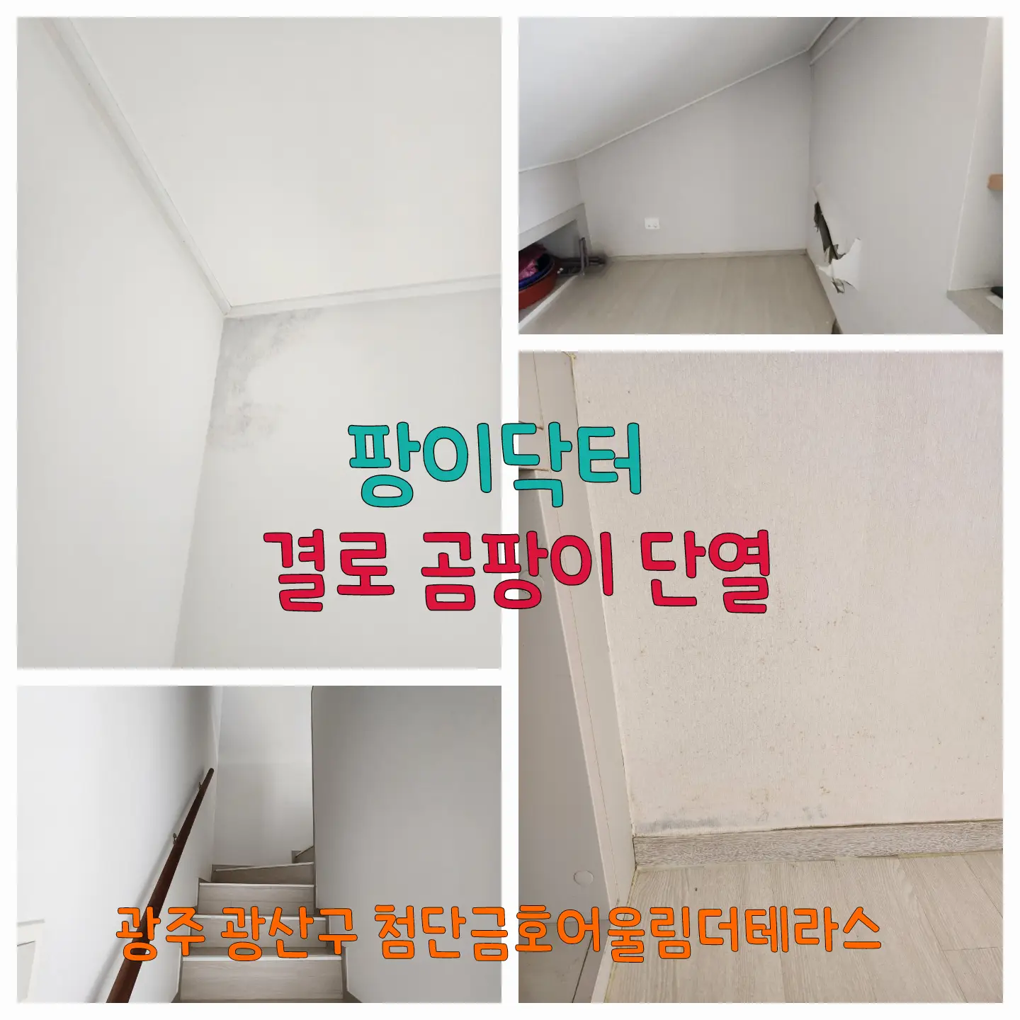 이미지 6