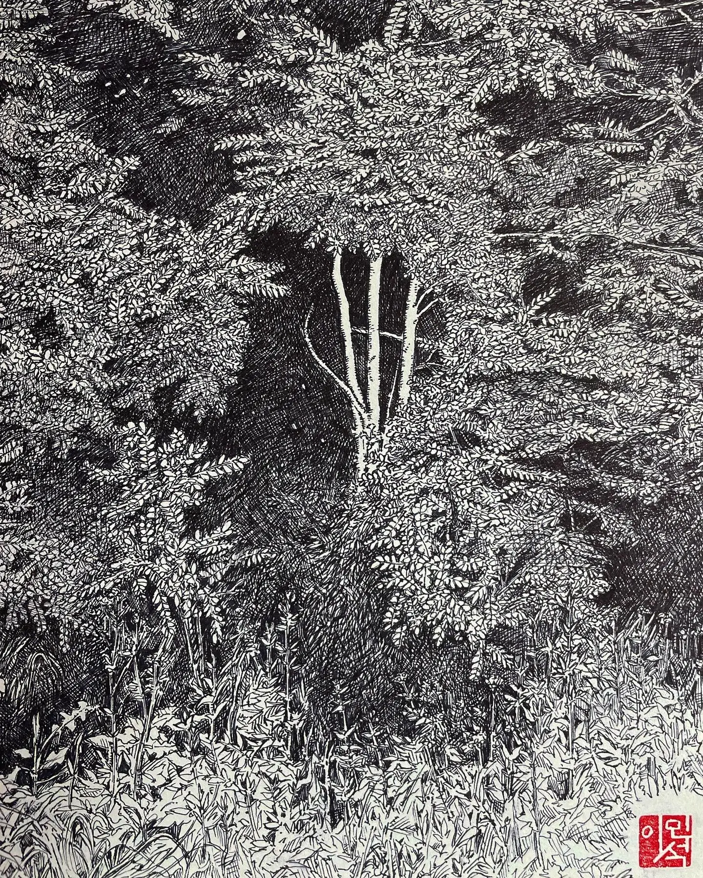 이미지 11