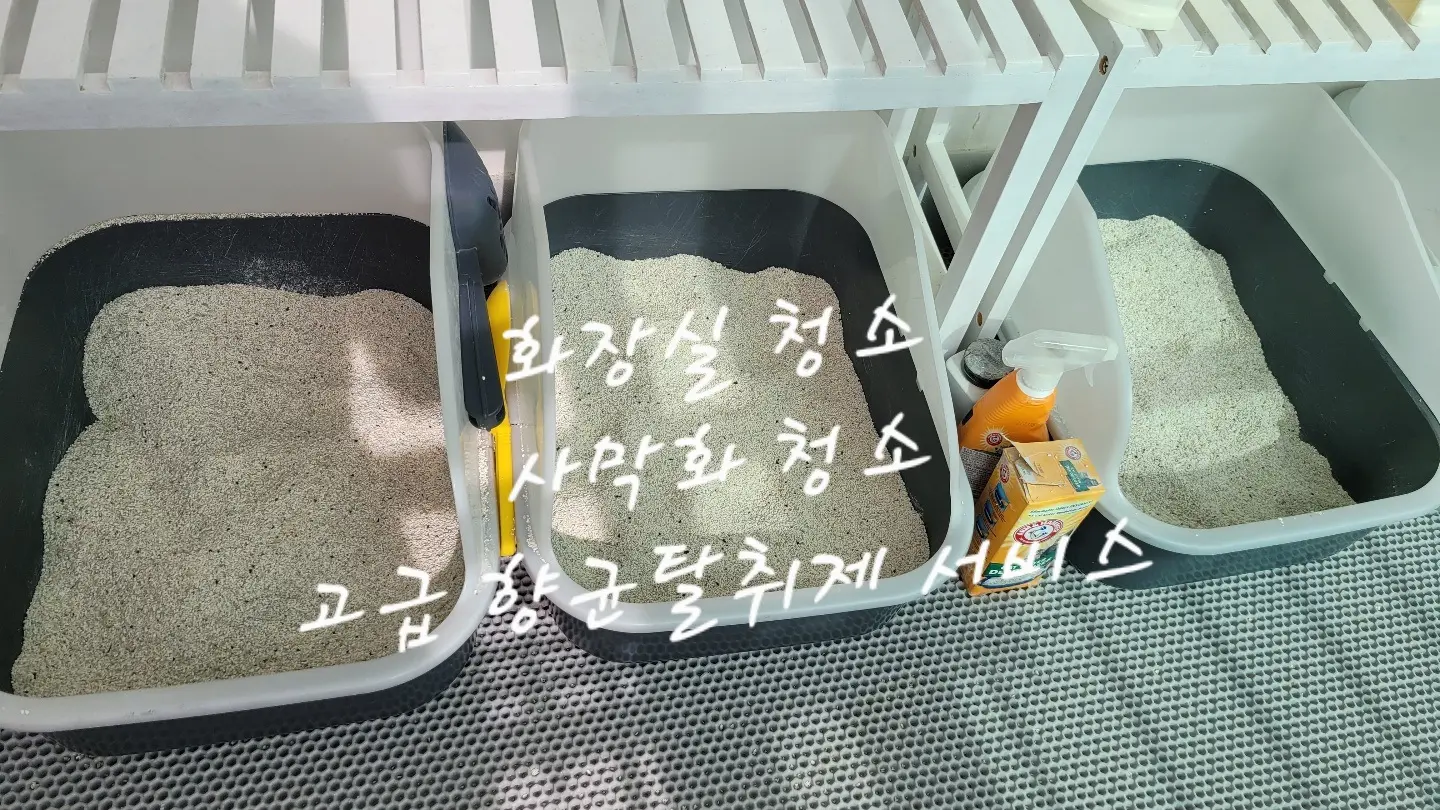 이미지 12