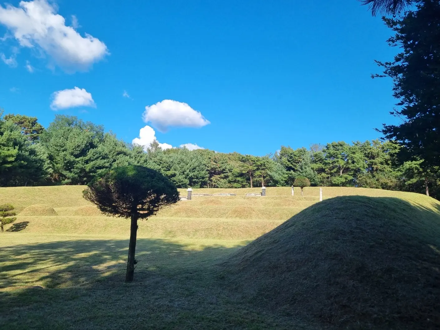 이미지 24