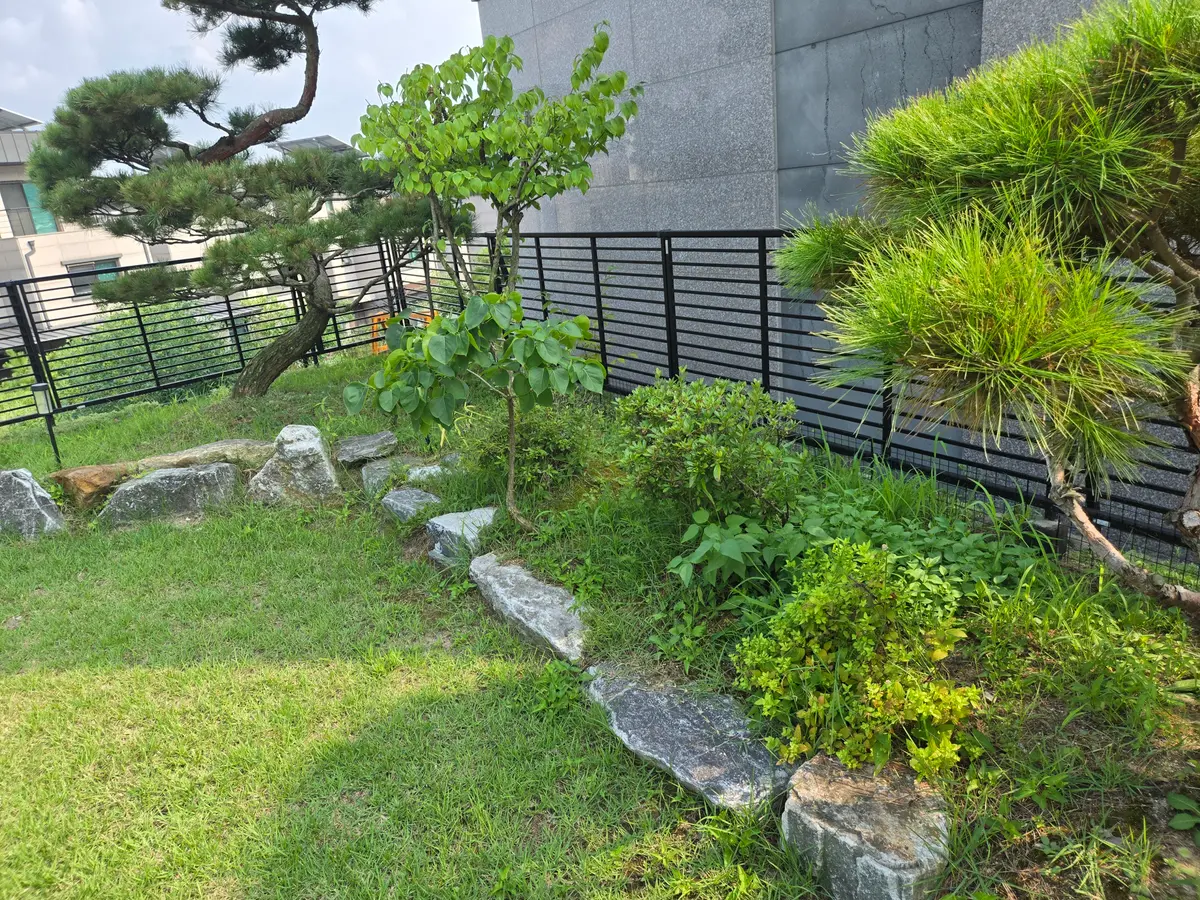 이미지 9