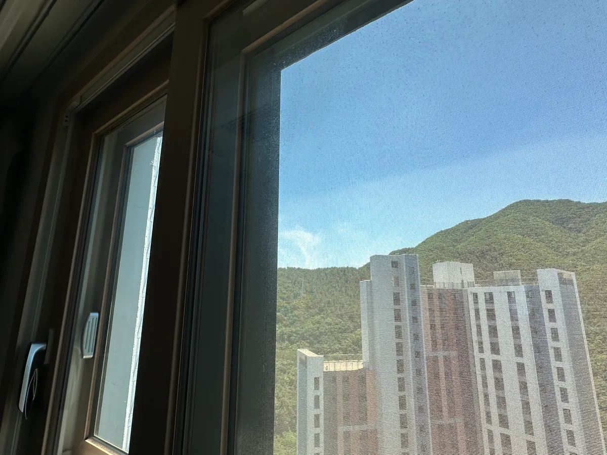 이미지 8