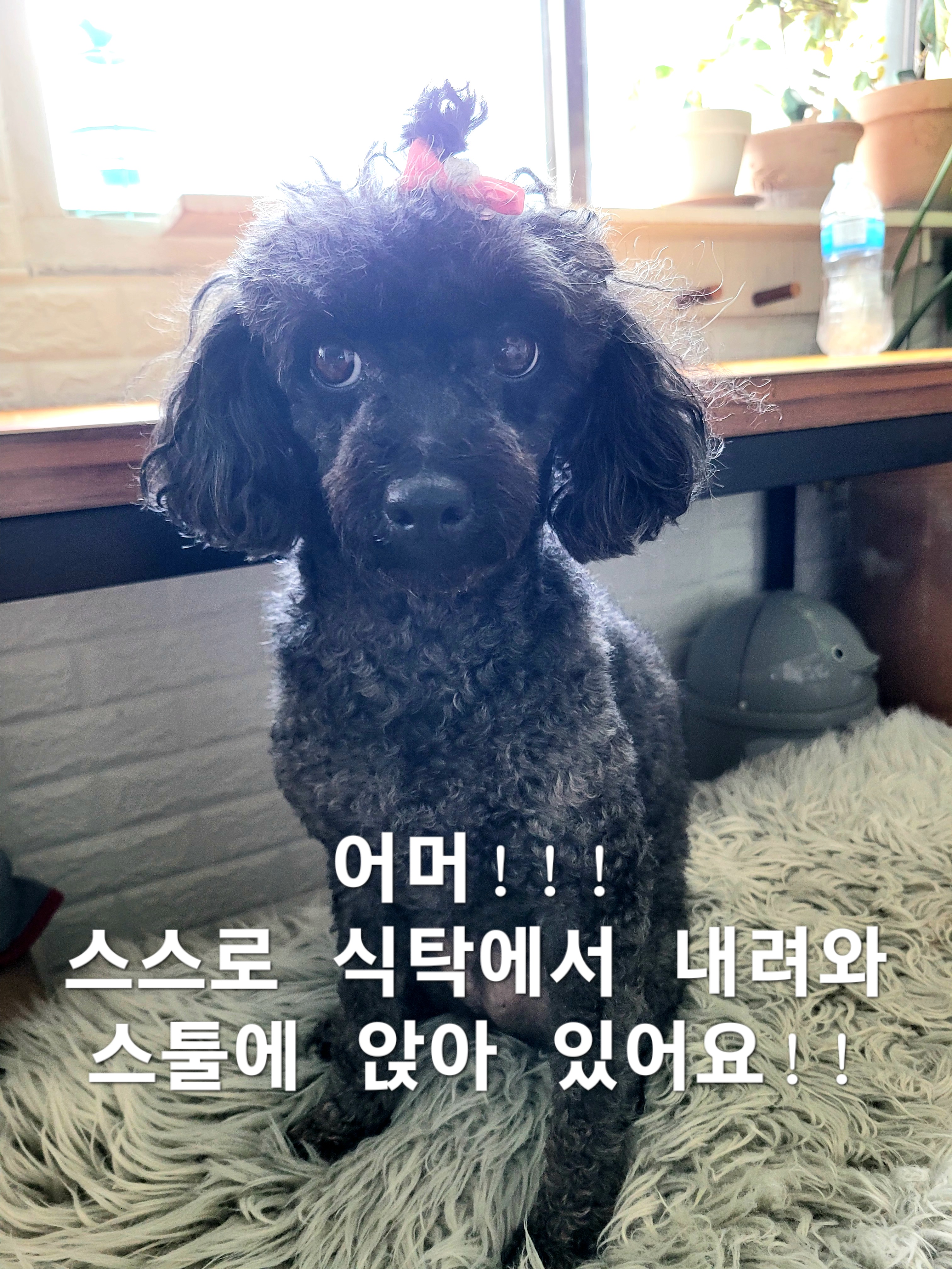 이미지 5
