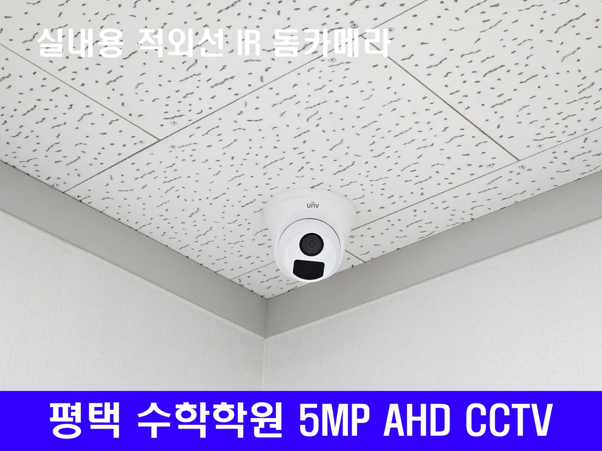 이미지 11