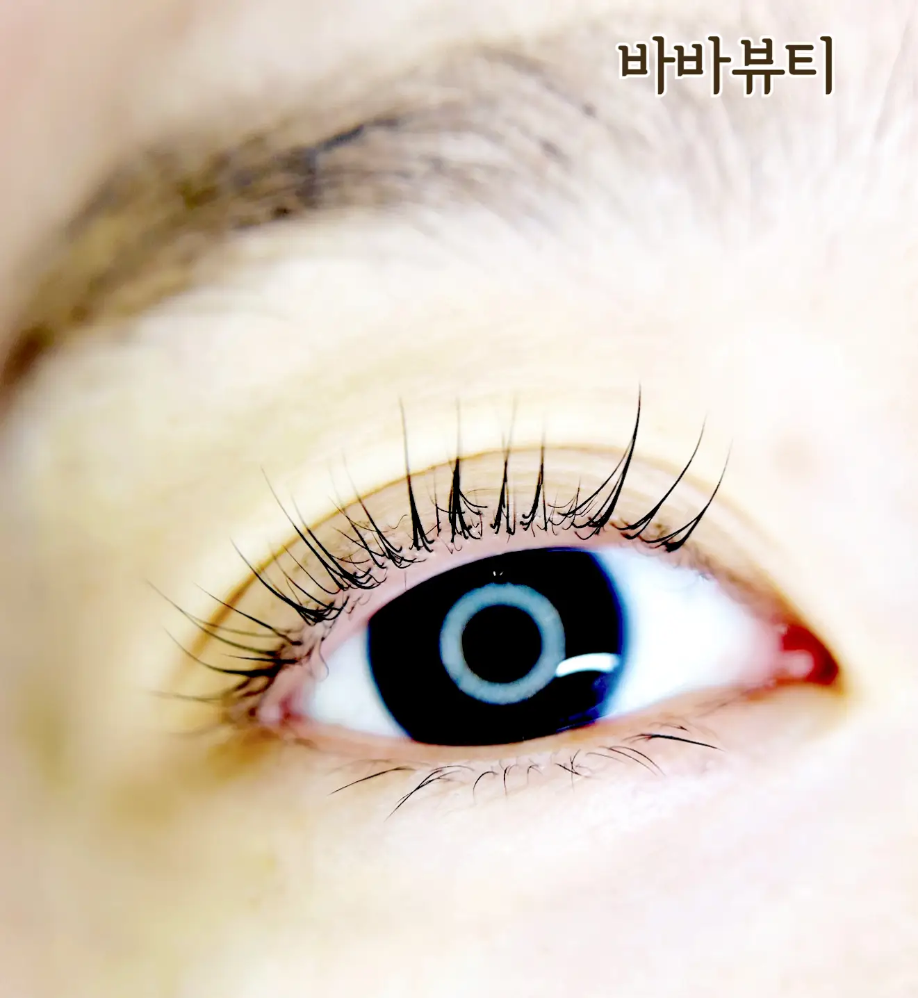 이미지 7