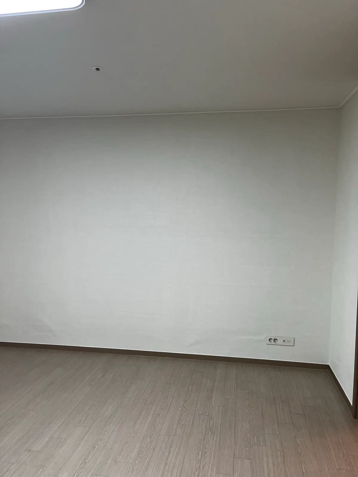 이미지 13