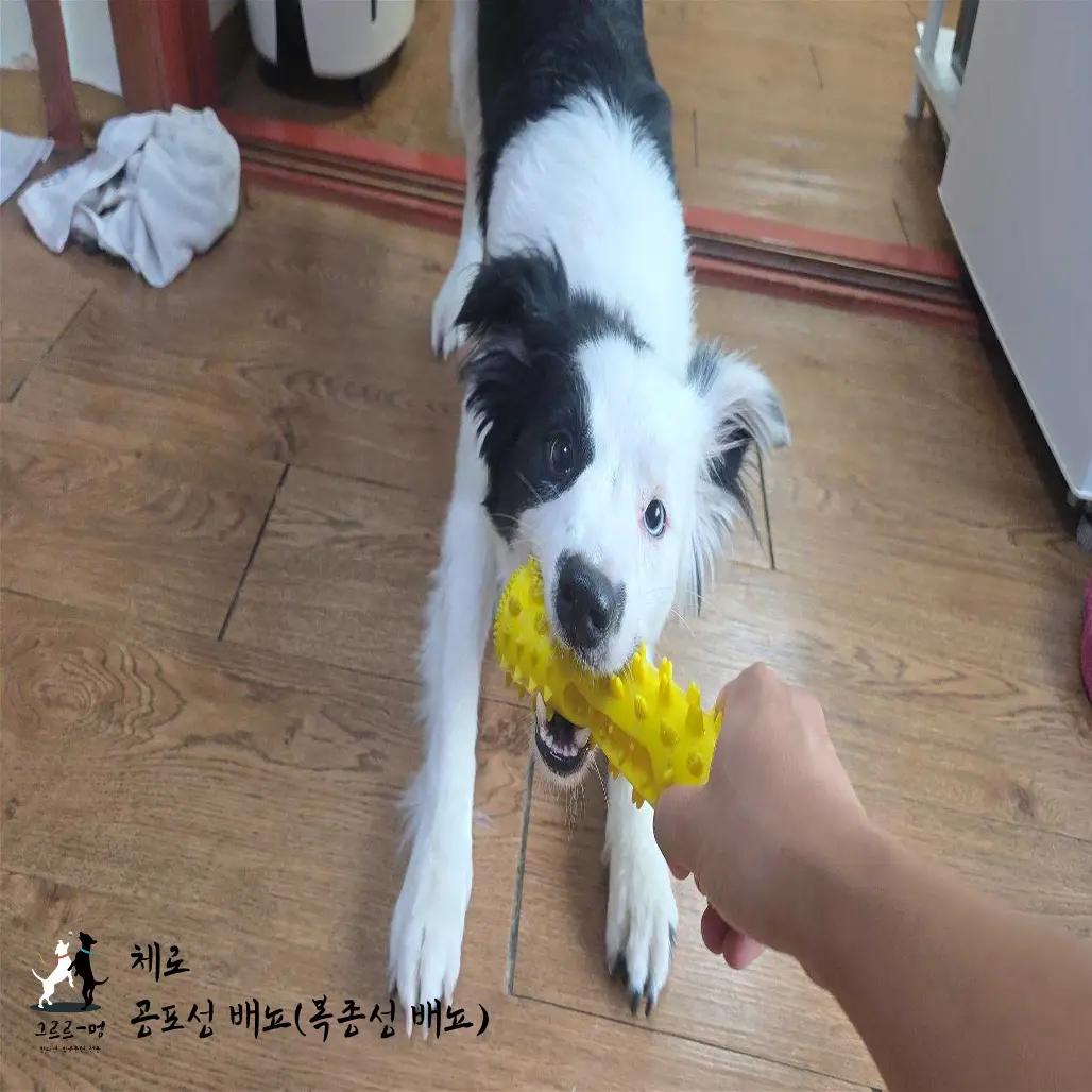 이미지 4