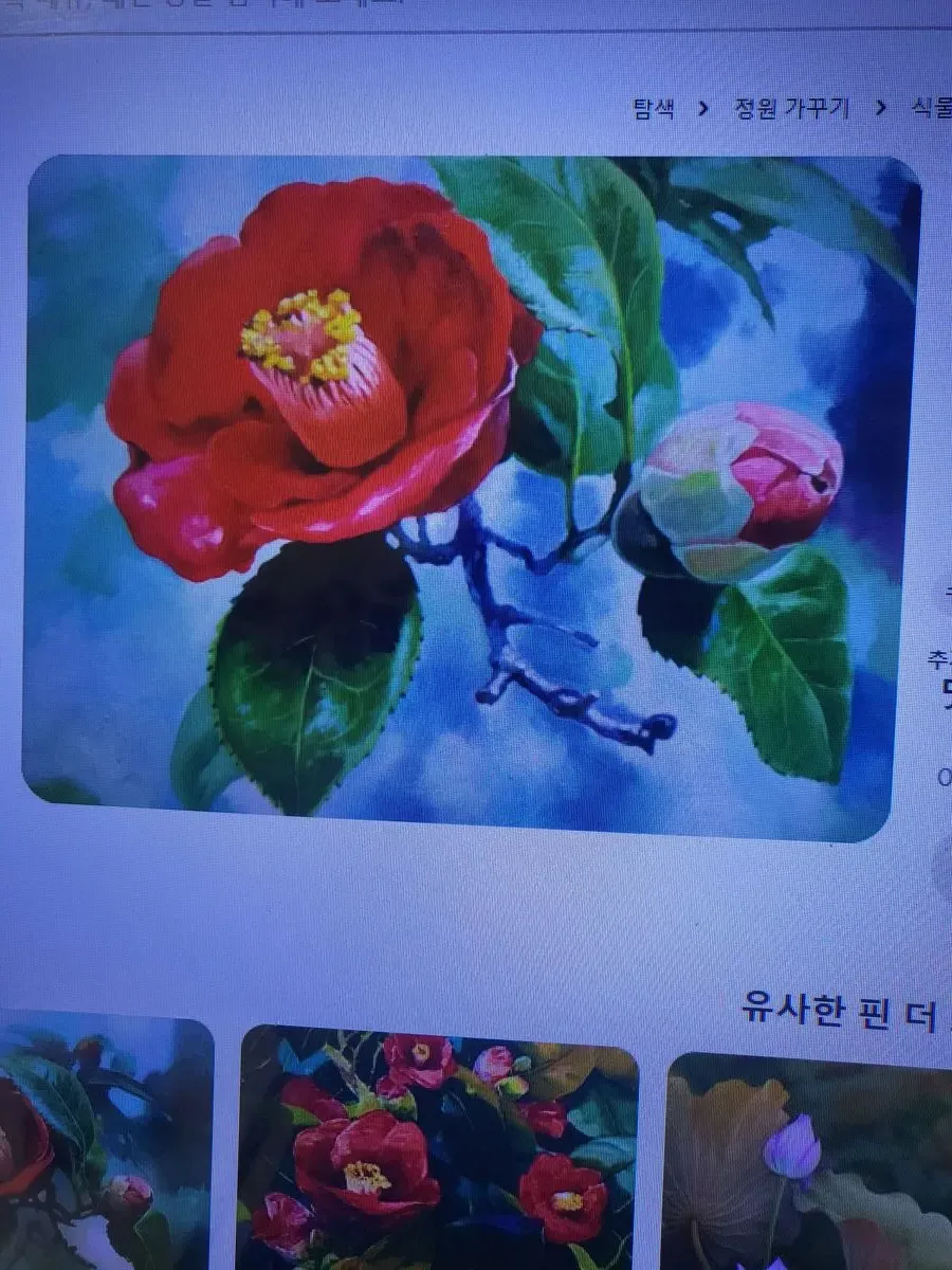 포트폴리오 이미지