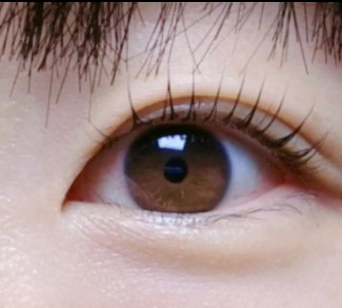이미지 8