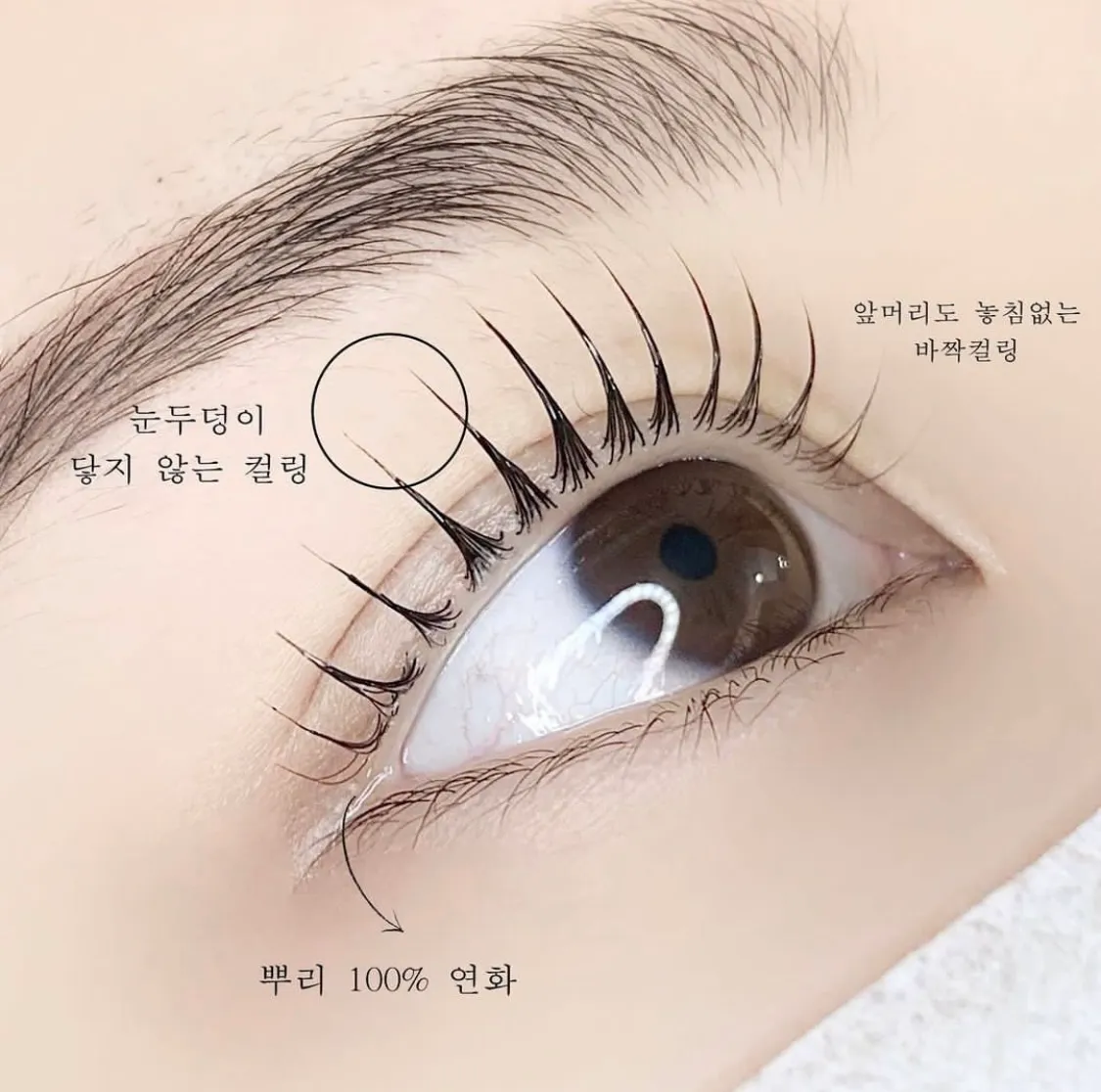 이미지 3