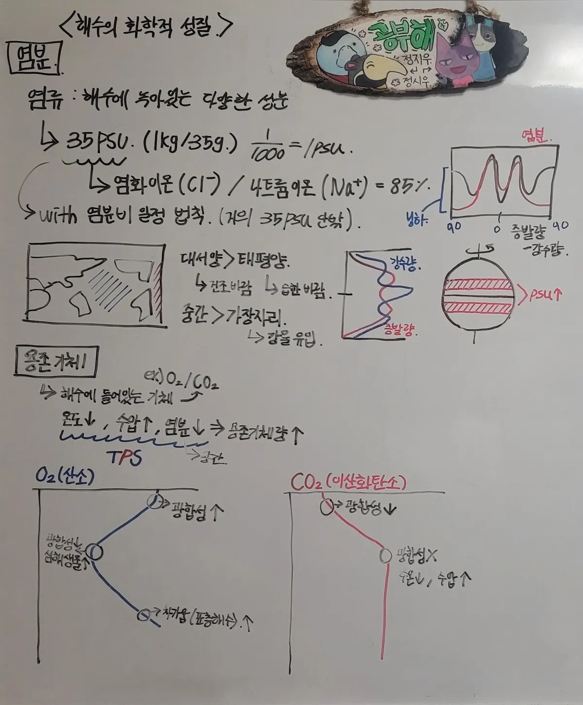 이미지 11