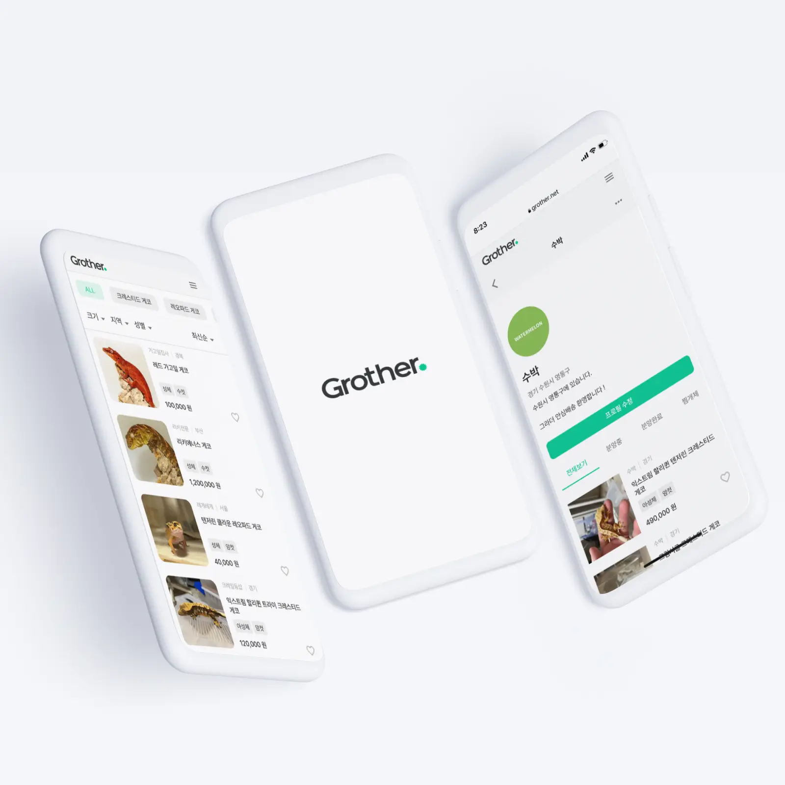 포트폴리오 이미지