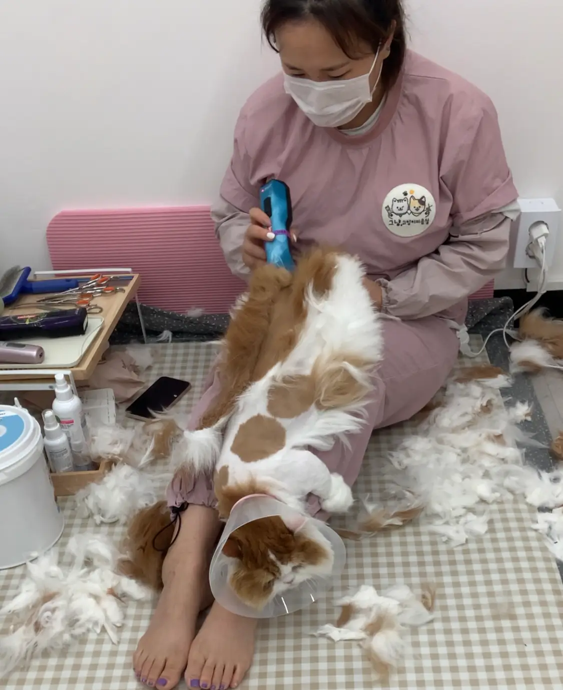 이미지 9