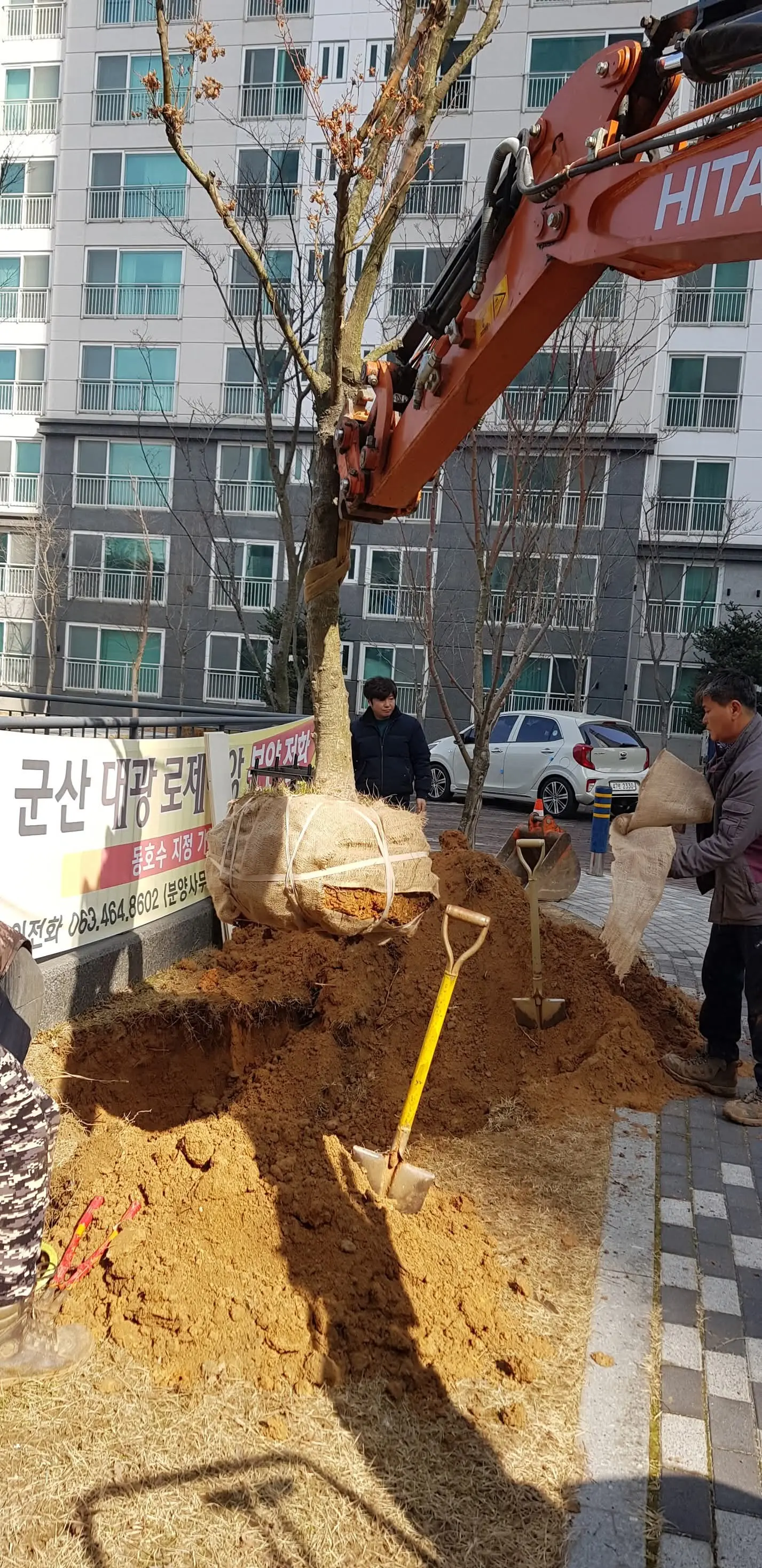이미지 8