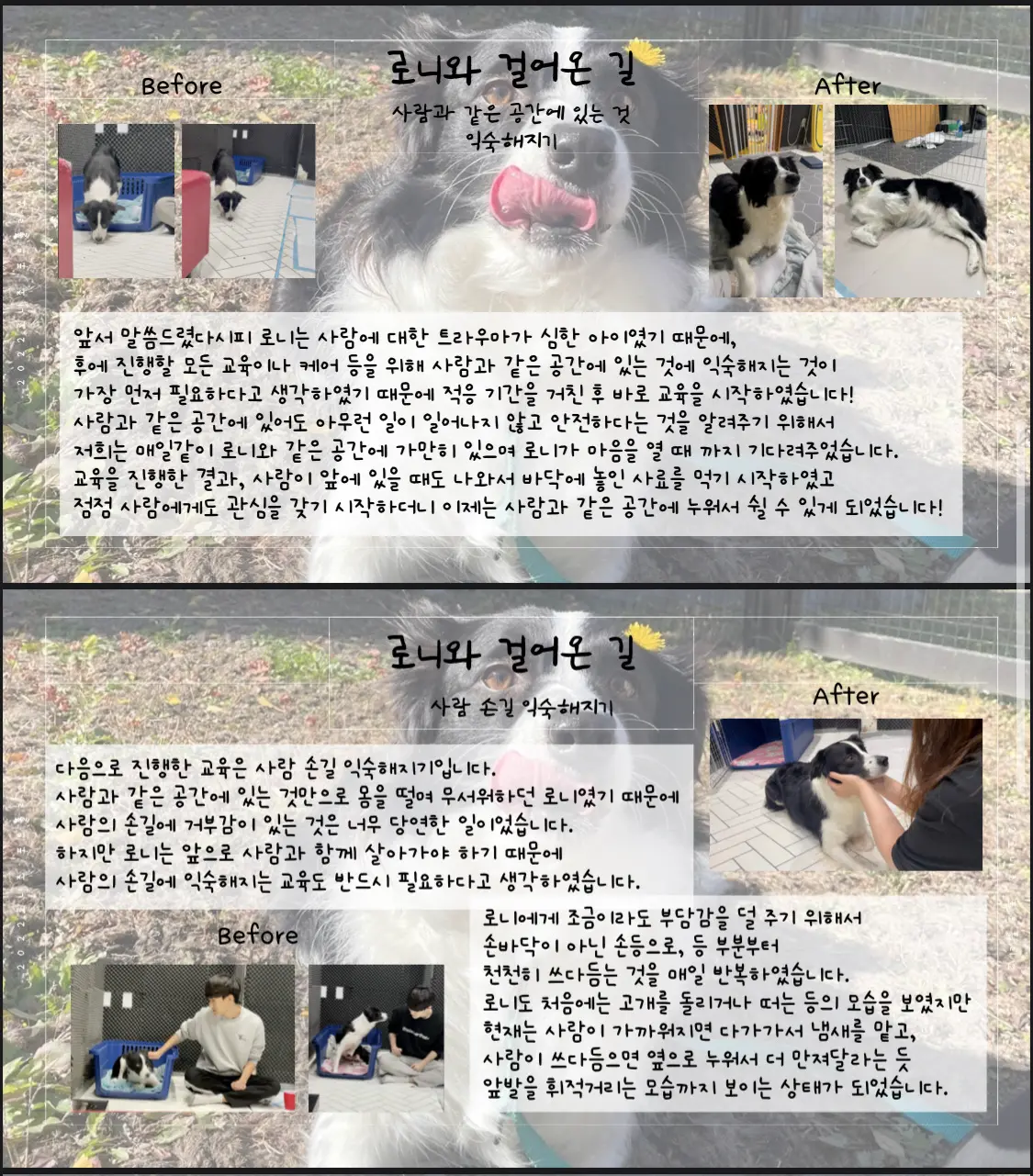 이미지 5