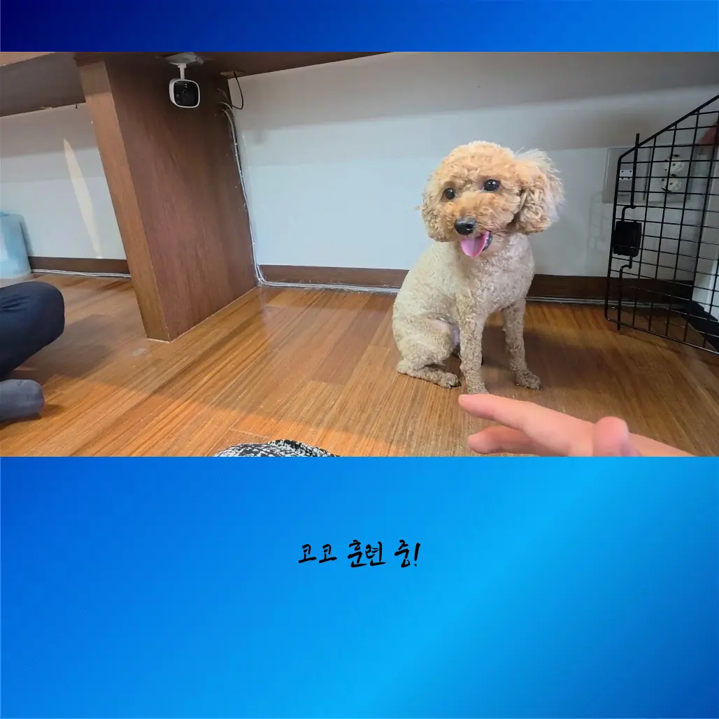 이미지 12