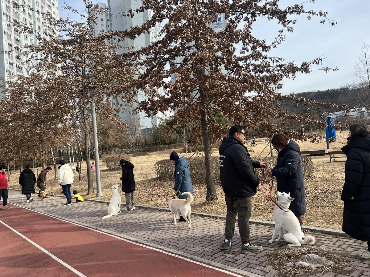 이미지 2