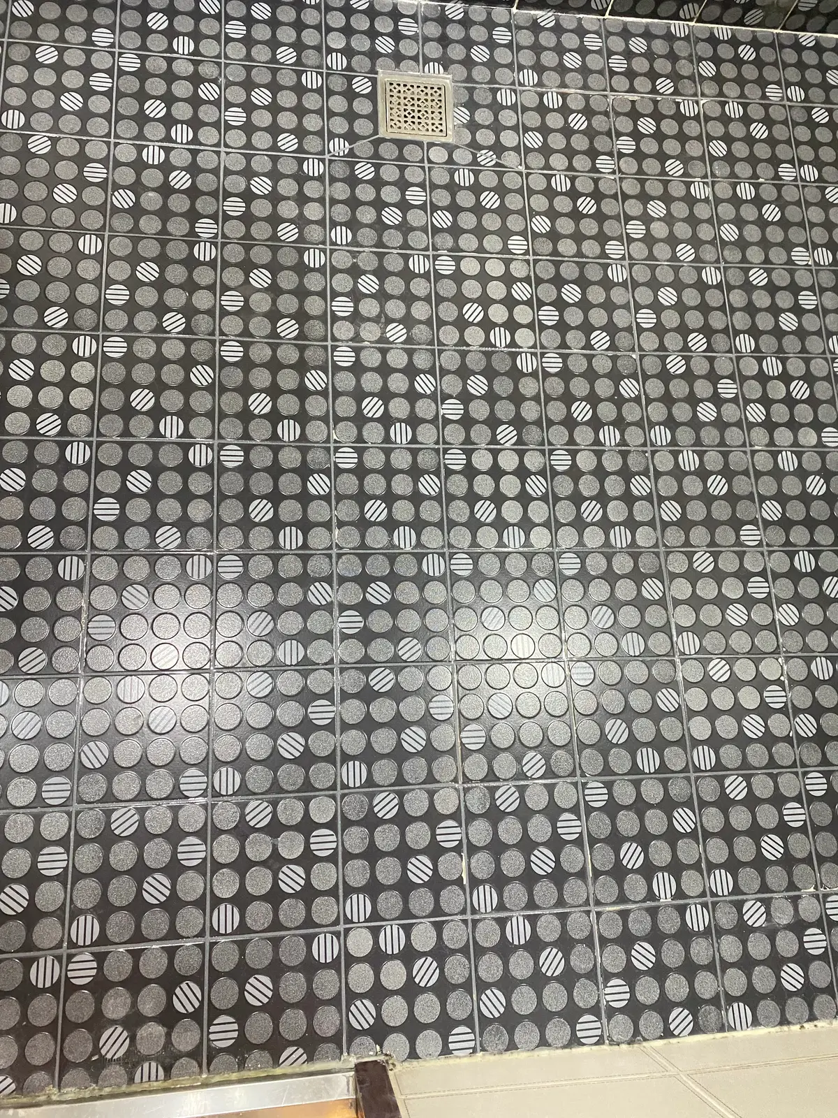 이미지 10