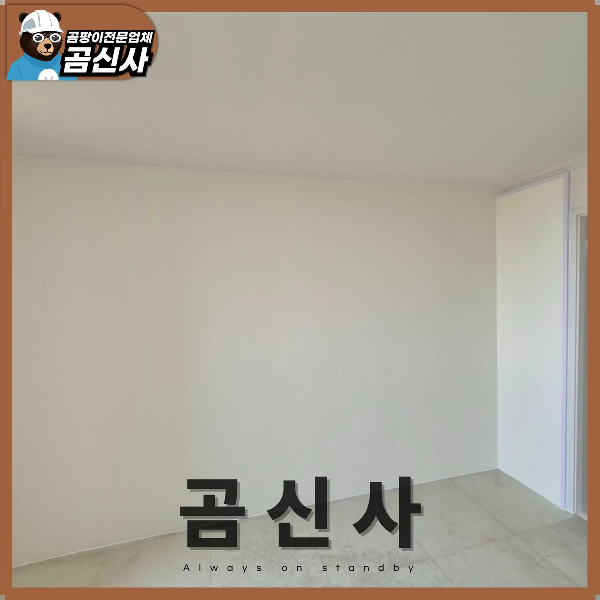 이미지 11