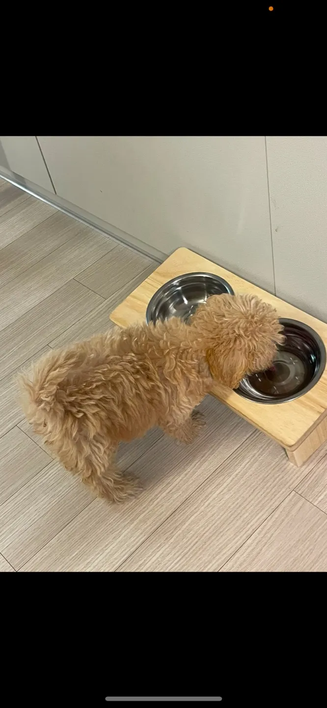 이미지 4