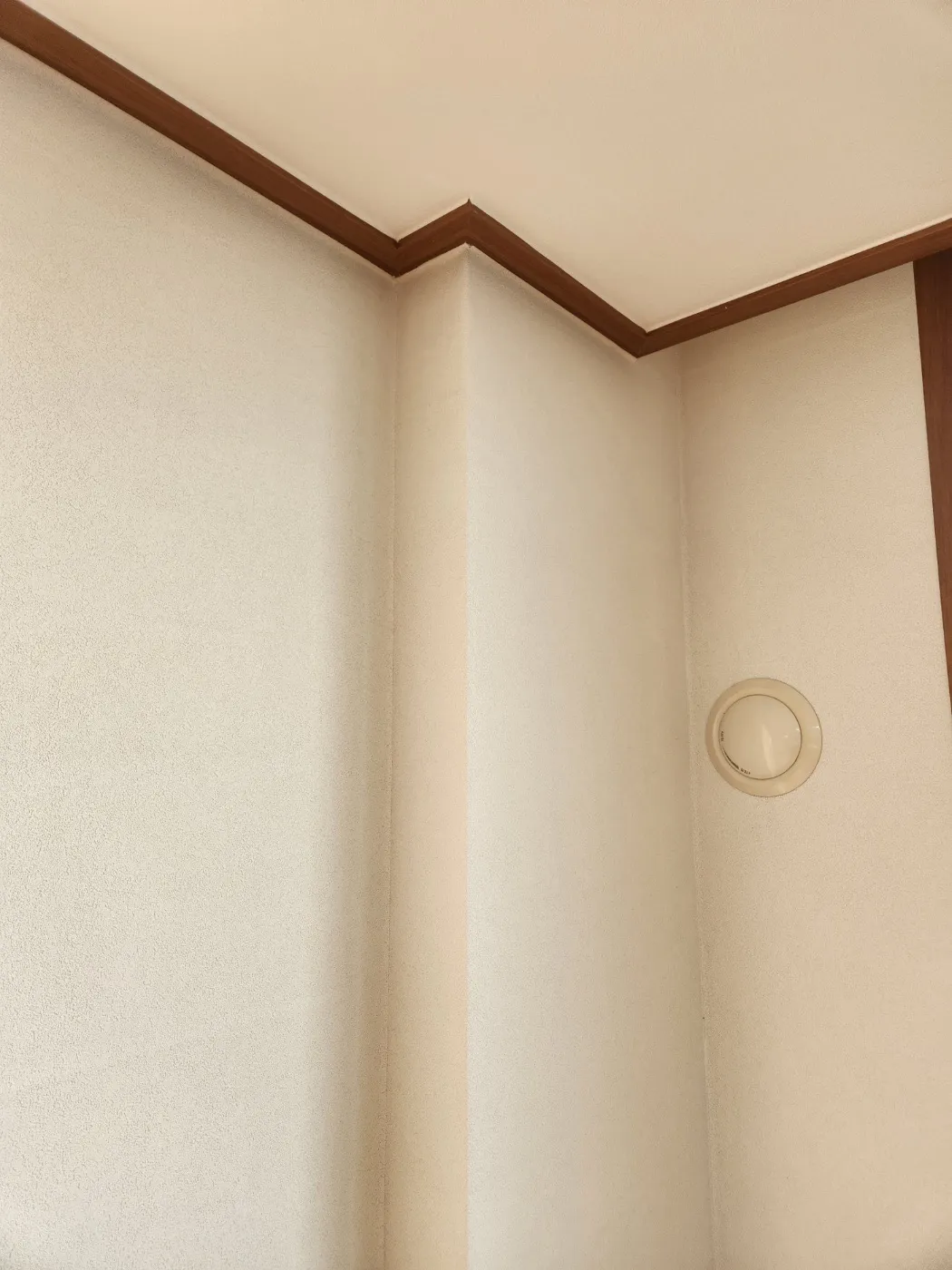 이미지 30