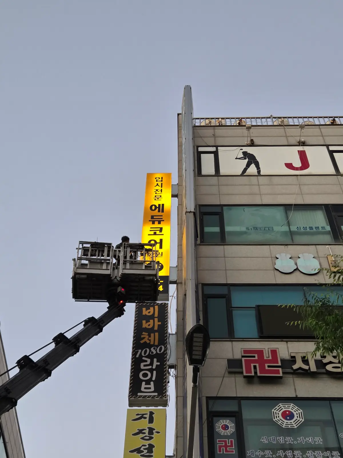 이미지 8