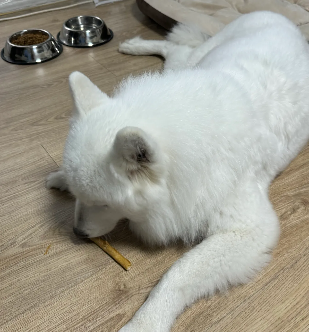 이미지 3